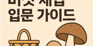 버섯 채집 입문 가이드