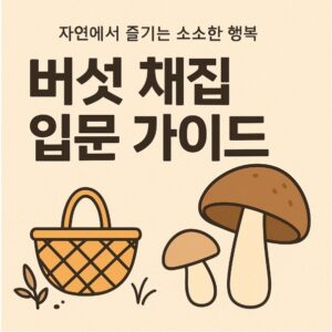 버섯 채집 입문 가이드