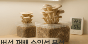 버섯재배 수익성 분석