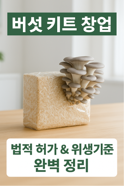 법적 허가와 위생기준 완벽정리
