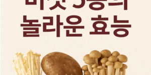 버섯 5종의 놀라운 효능