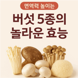 버섯 5종의 놀라운 효능