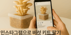 인스타그램으로 버섯키트 팔기