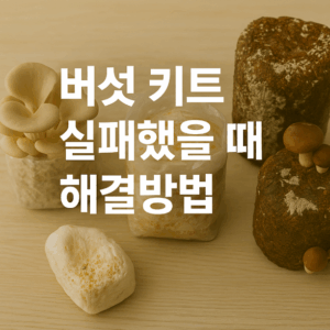 버섯 키트 실패 해을 때 해결방법
