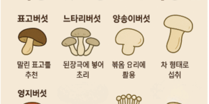건강에 좋은 식용버섯 종류와 복용팁