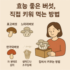 효능 좋은 버섯 직접 키워 먹는 방법