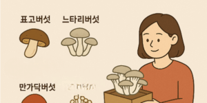 효능 좋은 버섯 직접 키워 먹는 방법