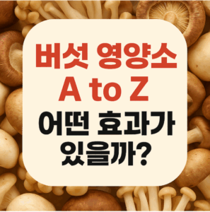버섯 영양소 A to Z 어떤 효과가 있을까?