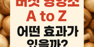 버섯 영양소 A to Z 어떤 효과가 있을까?