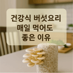 건강식 버섯요리, 매일 먹어도 좋은 이유