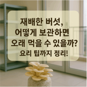 재배한 버섯, 어떻게 보관하면 오래 먹을 수 있을까?