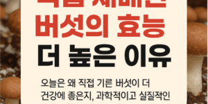 직접 재배한 버섯의 효능이 더 높은 이유