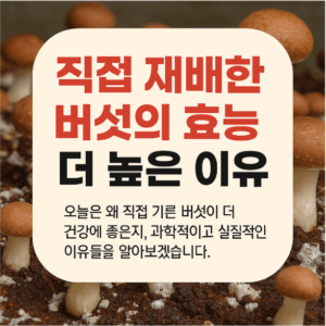 직접 재배한 버섯의 효능이 더 높은 이유