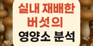 실내 재배한 버섯의 영양소 분석