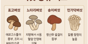 혈압 관리에 좋은 주요 버섯 종류 비교