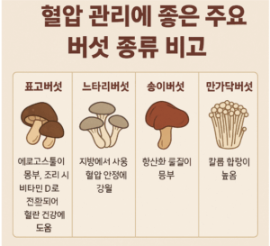 혈압 관리에 좋은 주요 버섯 종류 비교