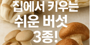 누구나 쉽게 키울 수 있는 버섯 3종