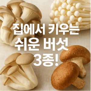 누구나 쉽게 키울 수 있는 버섯 3종