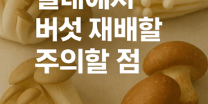 실내에서 버섯 재배할 때 주의할 점