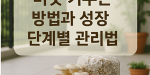 버섯 키우는 방법과 성장 단계별 관리법