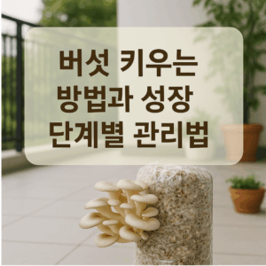 버섯 키우는 방법과 성장 단계별 관리법