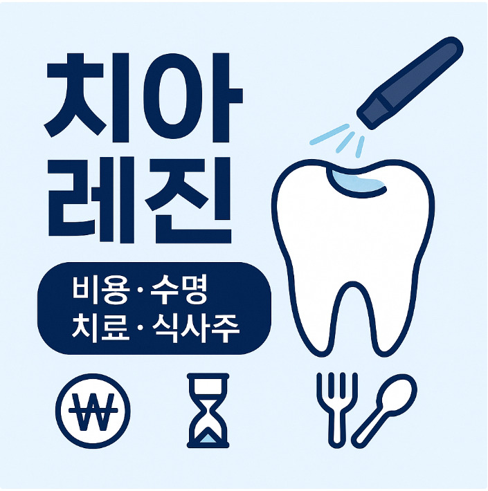치아 레진 앞니 vs 어금니 비용